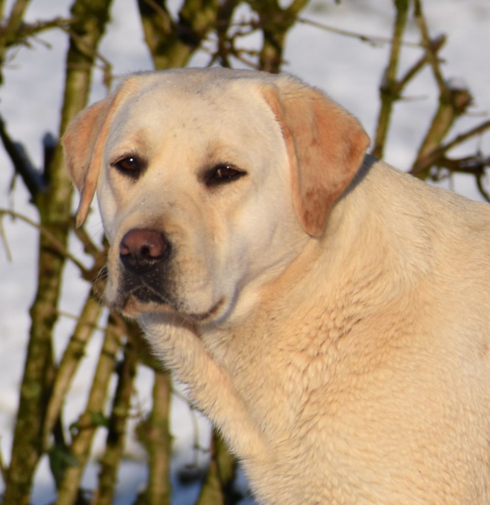 Publication : Du Moulin Sault 