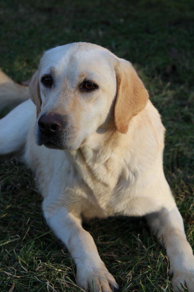 Publication : de la Passe de l'Eider