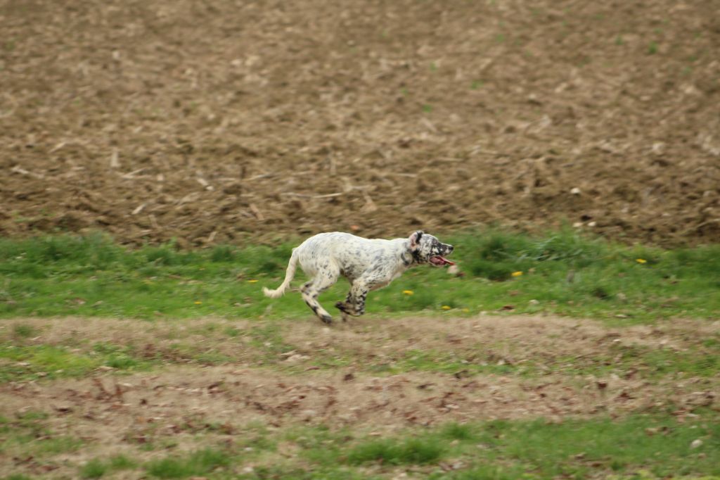 Publication : Des Sentiers De La Douyne
