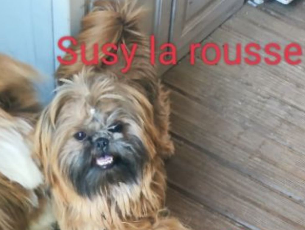 Publication : Des P'tits Bouts D'amour