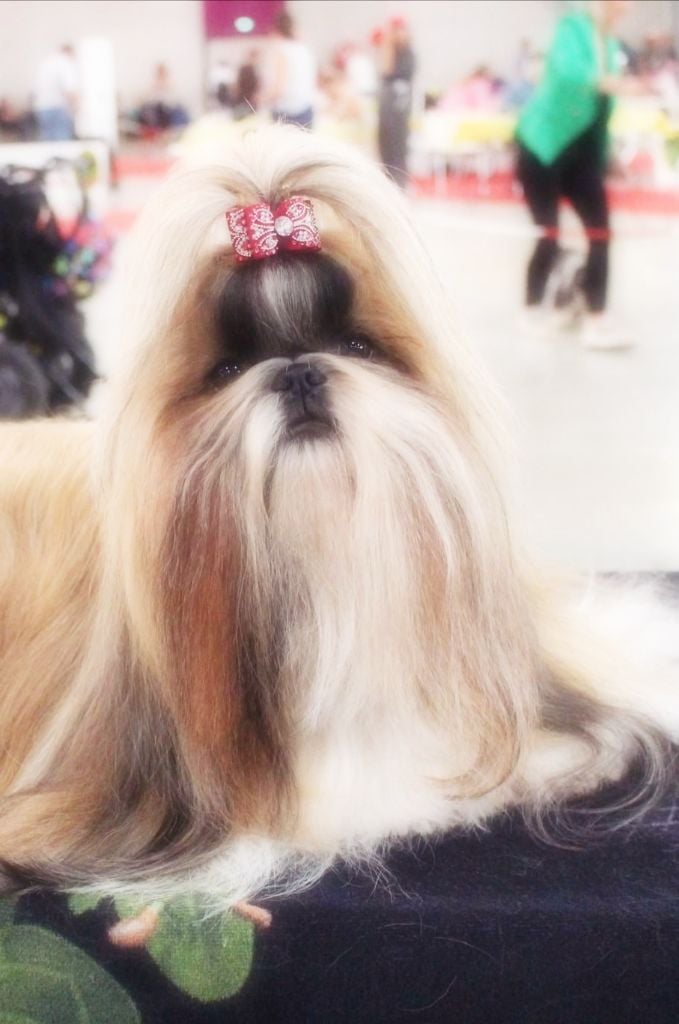 Publication : Shangri-la Blue River