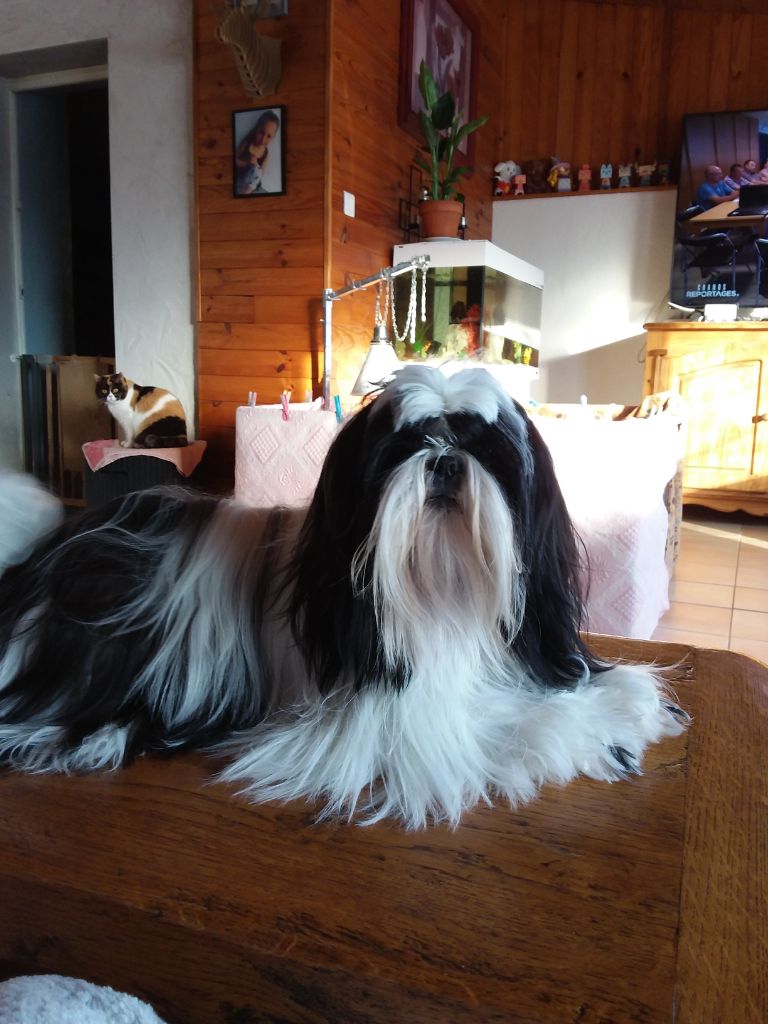 Publication : Des Merveilles Du Mas Auteur : Brunet Maryse