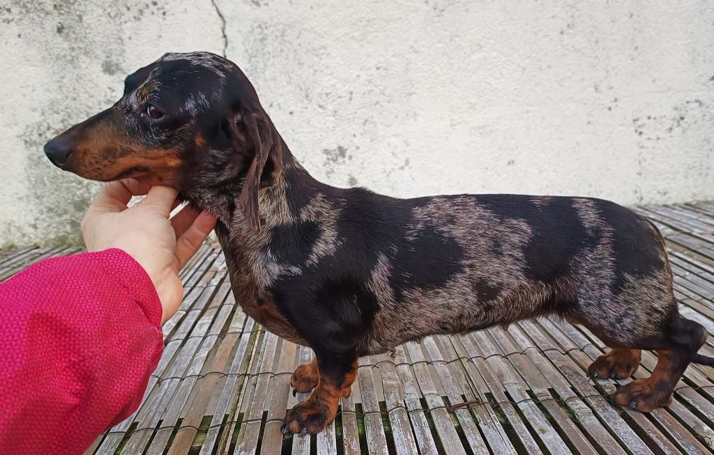 Saette de l'air salin