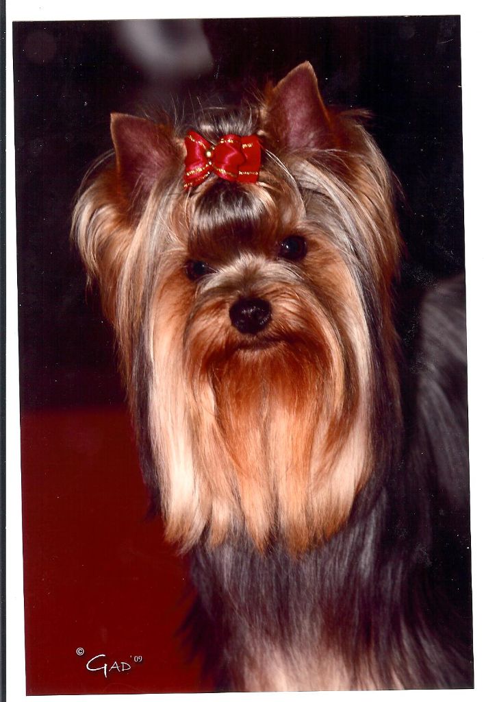 Publication : Du Marais De Lasné Auteur : ANNE MARIE BRUGIERE