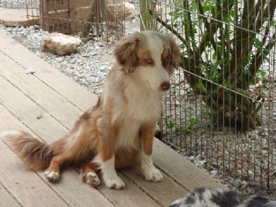 Sugar daddy Du clos des duchesses