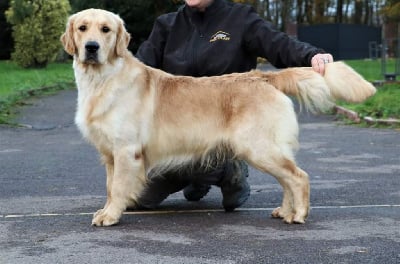 image de Silver stone