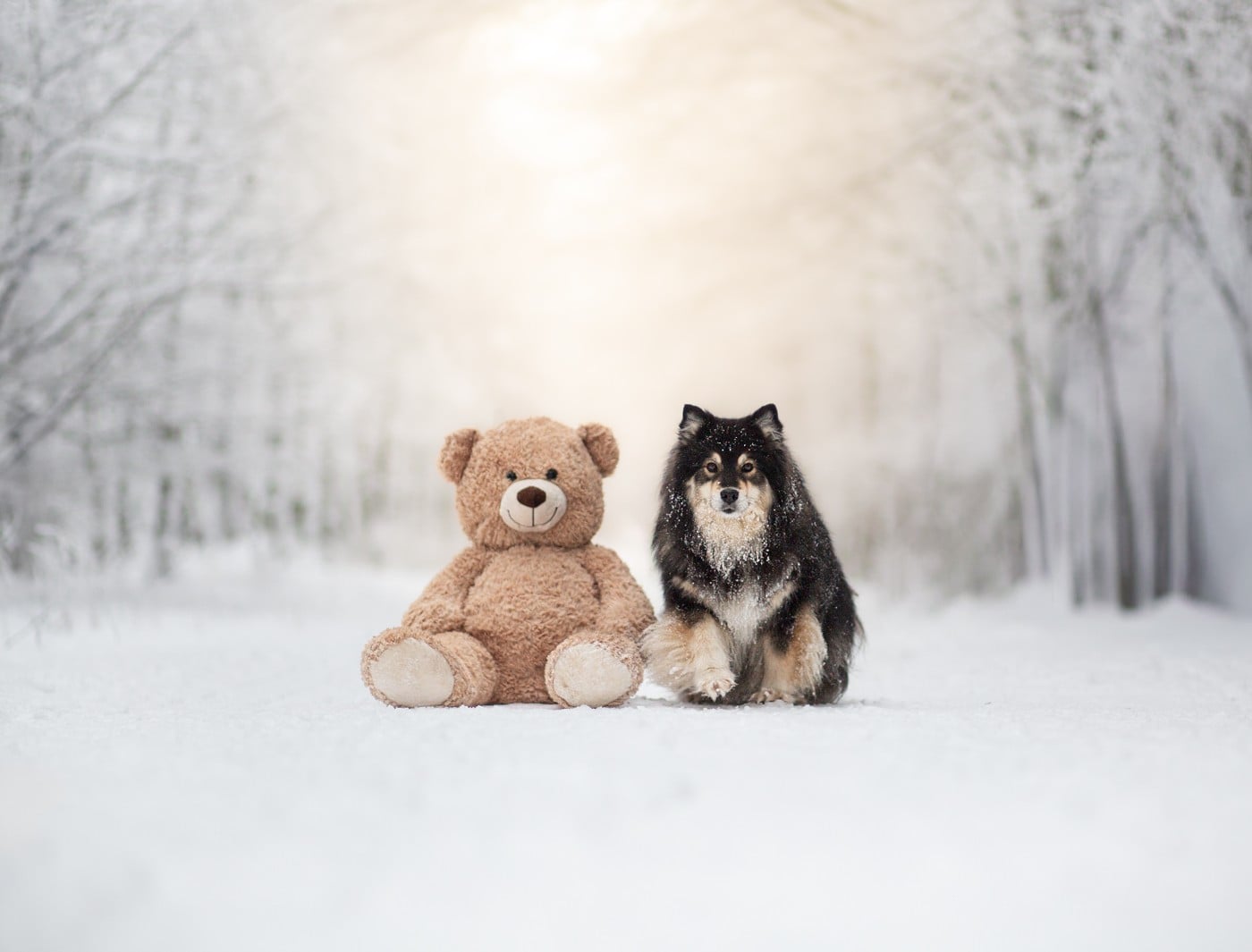 CH. Ororo munroe storm Du Pays Des Mille Lacs