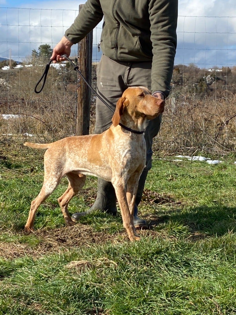 Publication : De La Terrible Menée 