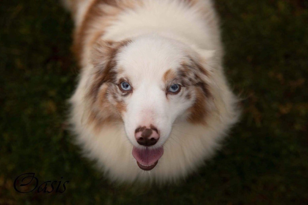 Publication : du Domaine de Primella 