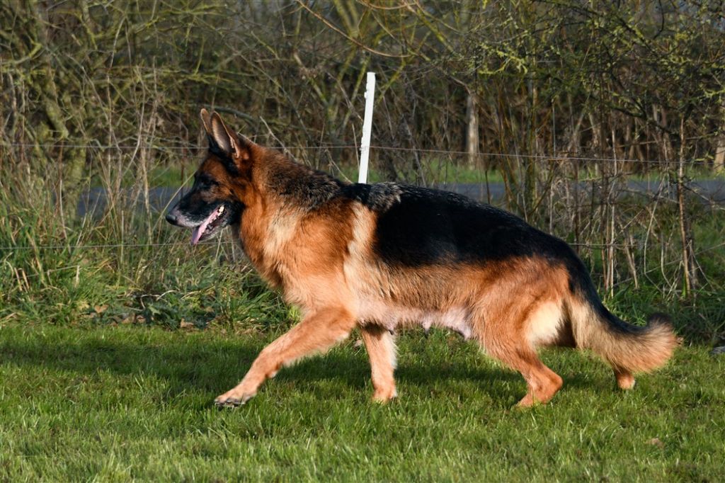 Publication : du domaine d'Ushuaia 