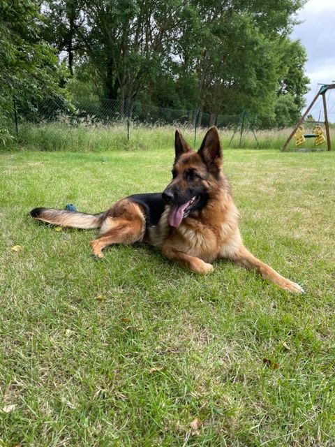 Publication : du moulin de madjurie 