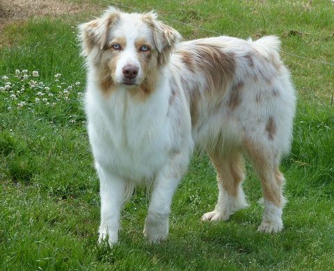 Publication : de la rivière ensoleillée 