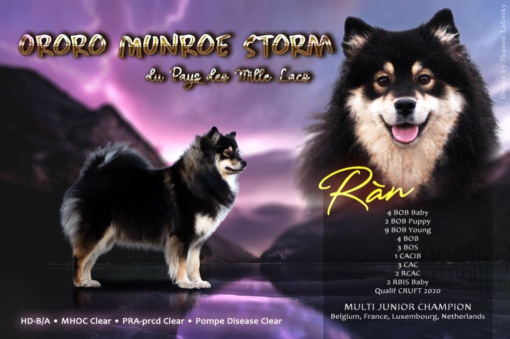 CH. Ororo munroe storm Du Pays Des Mille Lacs