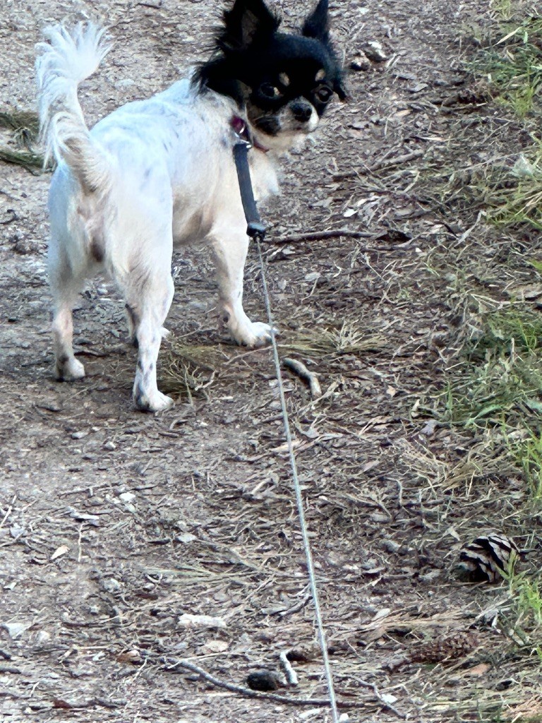 Publication : Des Merveilles De Provence Auteur : Des merveilles de Provence 