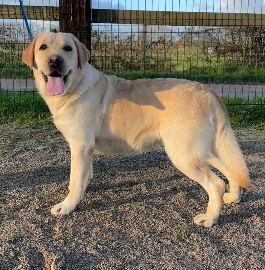 Publication : de la Vallée de Saint Samson 