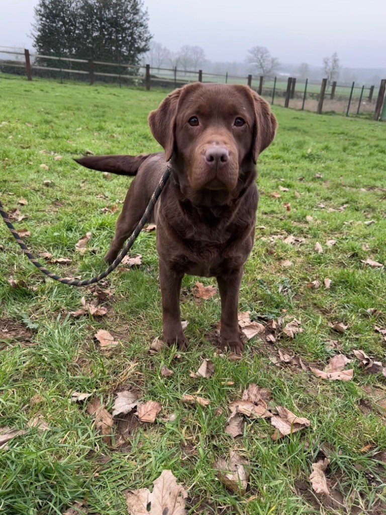 Publication : de la Vallée de Saint Samson 