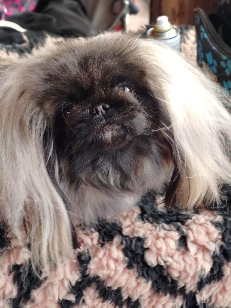 Publication : Du caillou blanc 