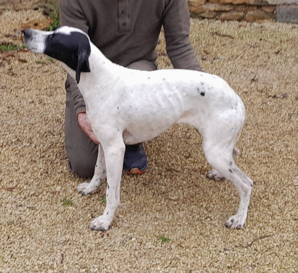 Publication : Des Guerriers Du Vent 