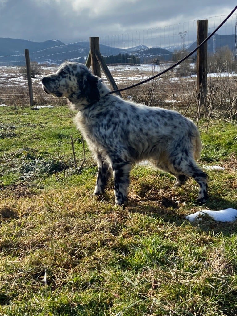 Publication : De La Terrible Menée 