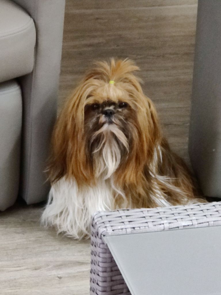 Publication : Des P'tits Bouts D'amour Auteur : Giraud 