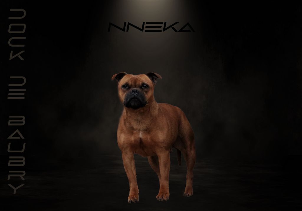 Nneka (Sans Affixe)