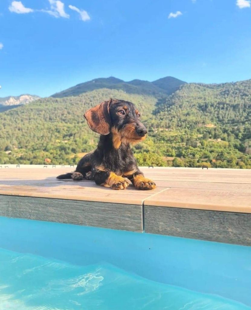 Publication : du Domaine du Pont Vieux 