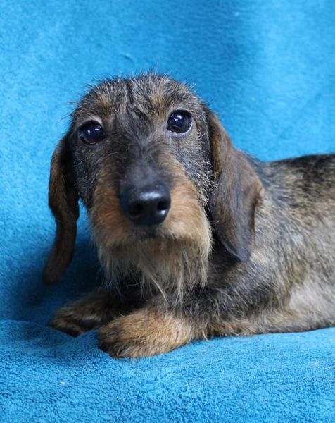 Publication : du domaine de luard