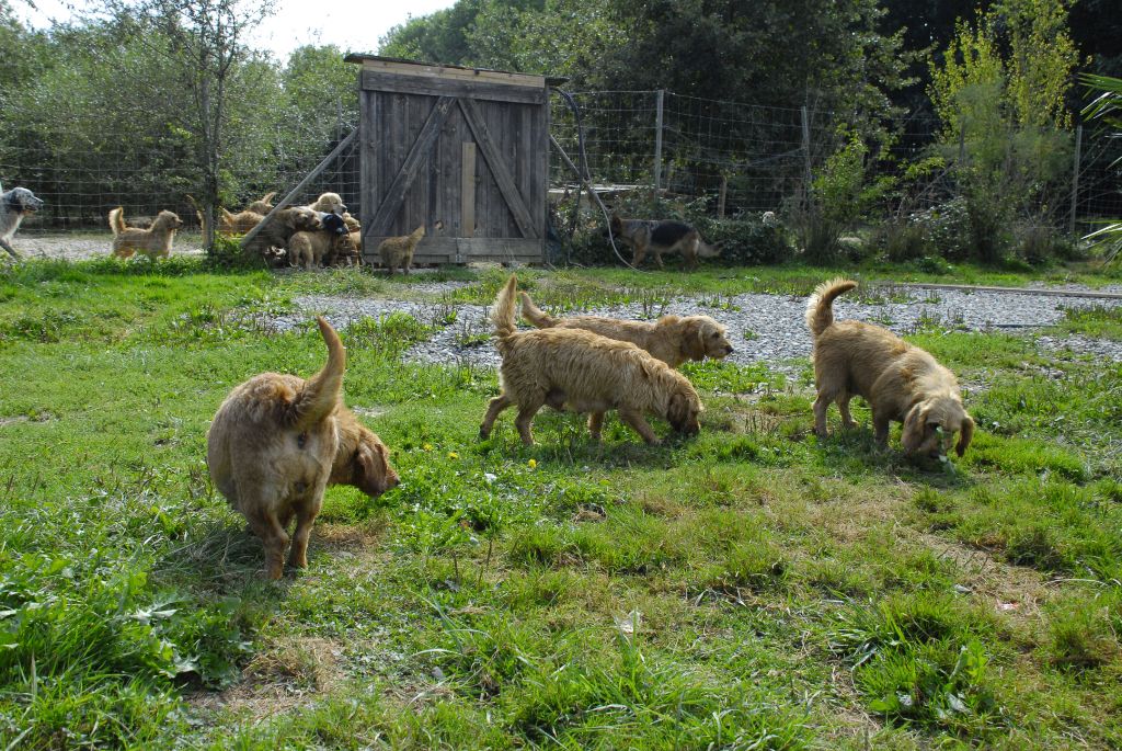Lara De La Forêt Des Sources