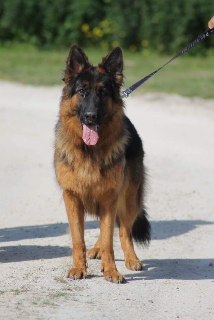 Prunelle Du Domaine D'Ethan