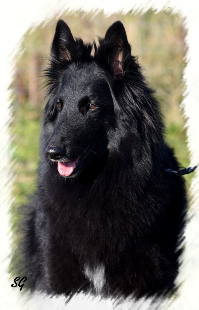 CH. Omacumba des étangs sauvages