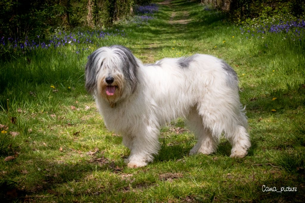 Publication : De La Butte A L'Herbe Jolie 