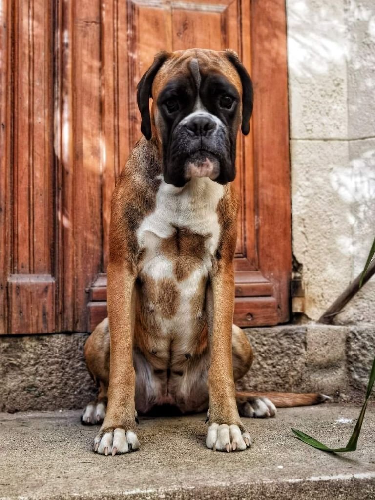 Publication : Du Soleil De L'aurion 