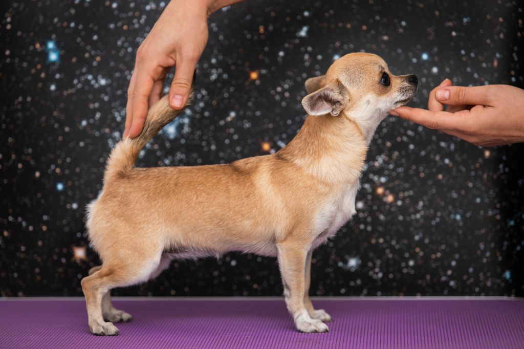 Publication : lookum