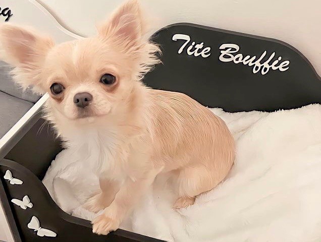 Publication : Diamondskane Auteur : @diamondskane