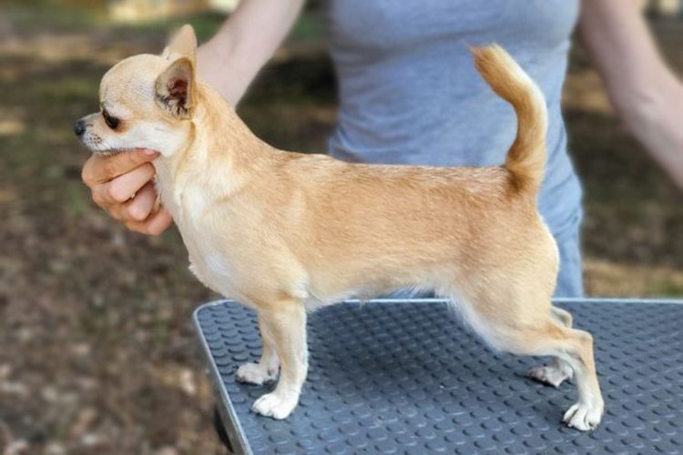 Publication : lookum Auteur : Alona Del Carro