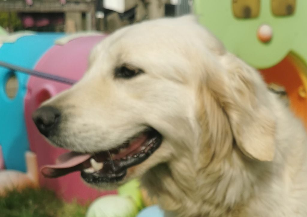 Publication : des Anges de la Claie 