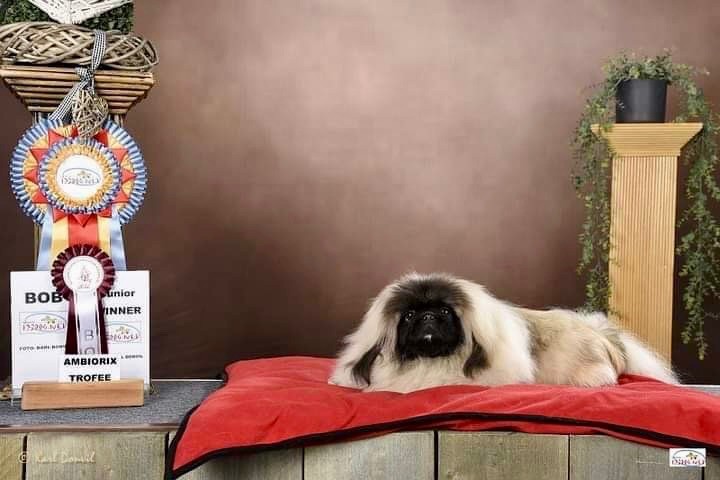 Publication : de la Bio Belle Epoque Auteur : Karl Donvil