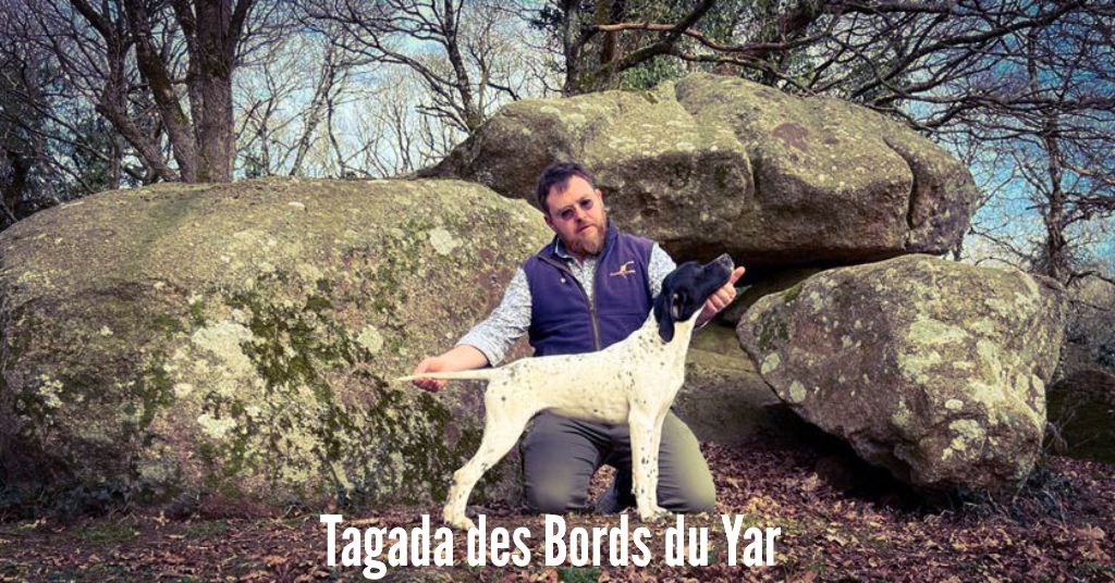 Publication : Des Bords Du Yar Auteur : Elevage des Bords du Yar