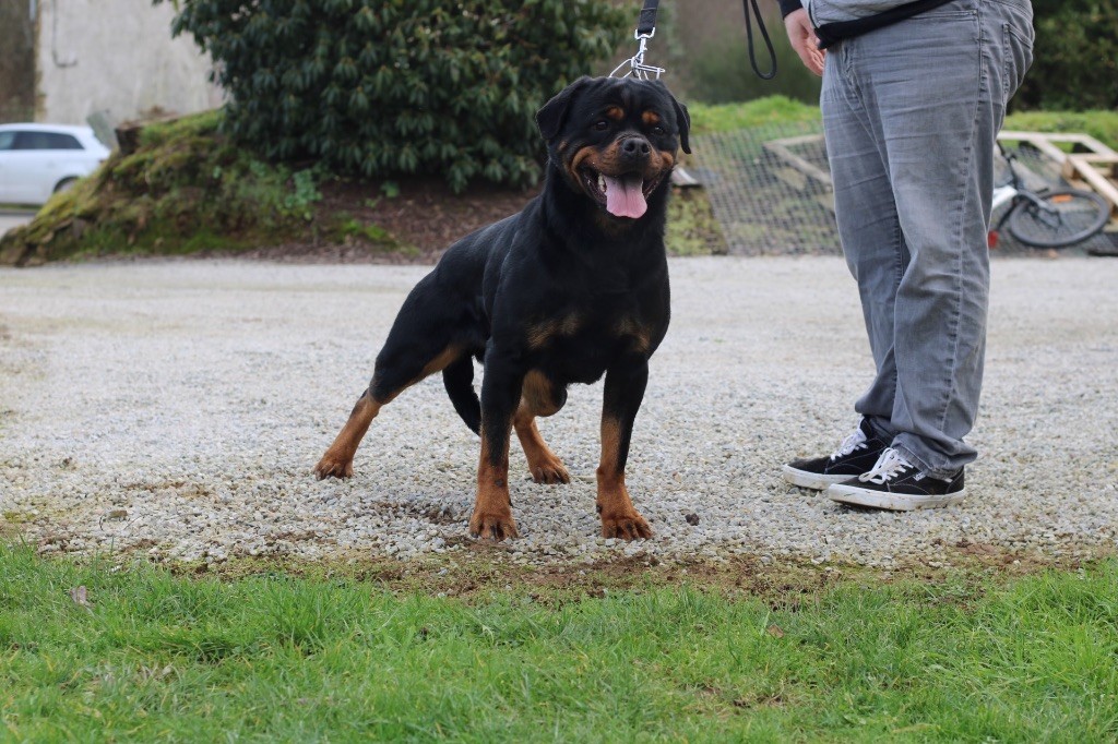 Publication : du Temple De Roda 