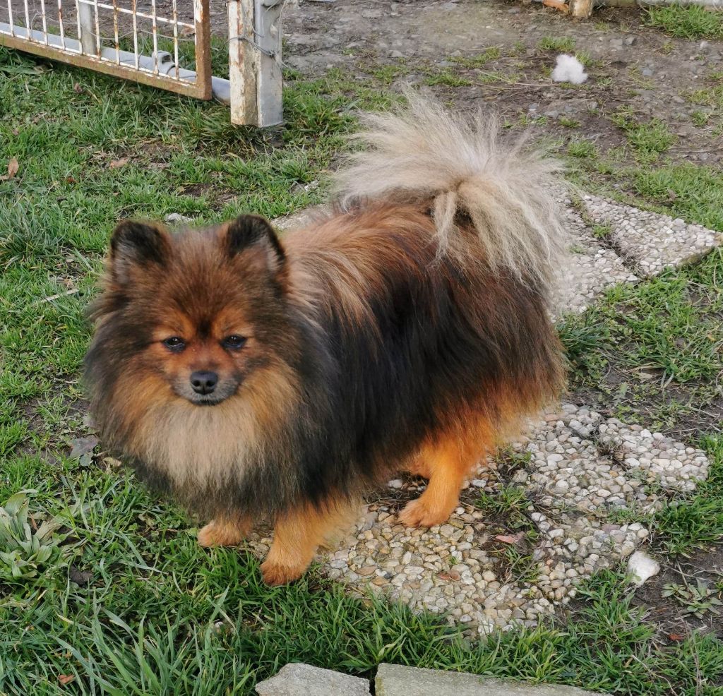 Naïade de la source des volcans