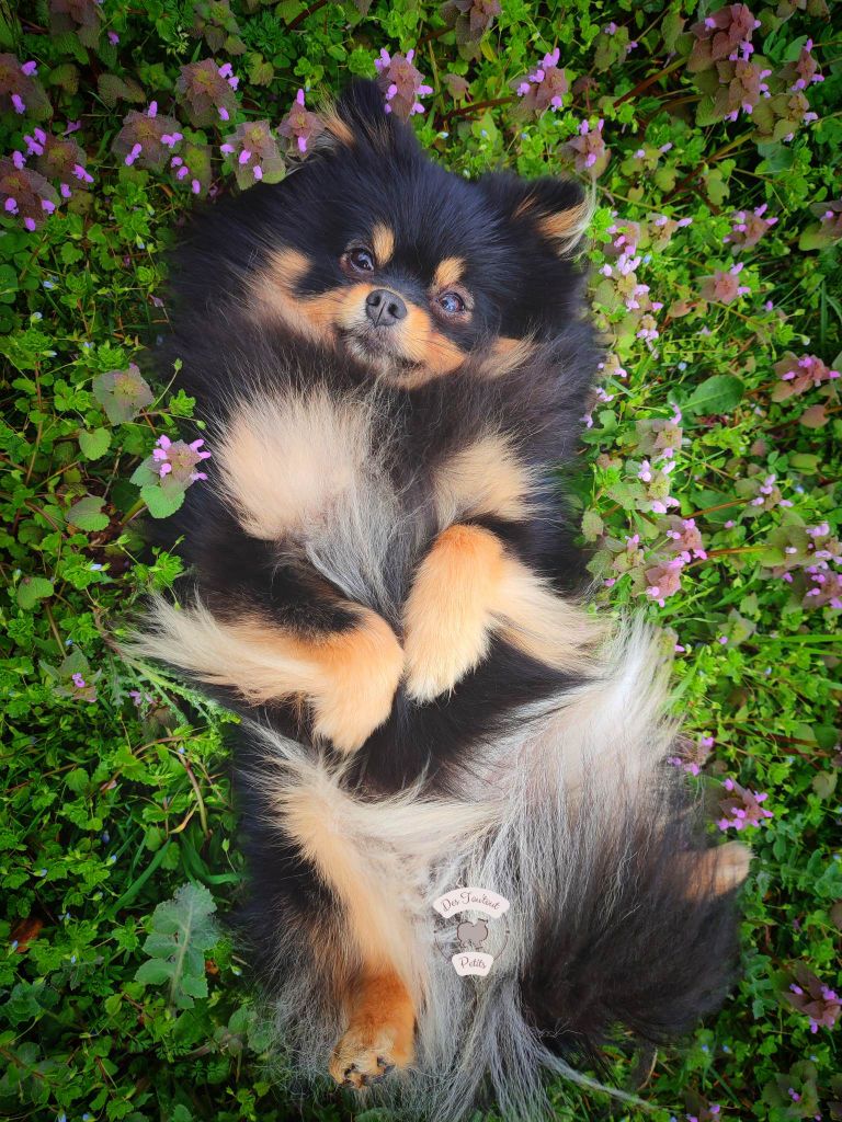 Publication : Du Baiser Volé 