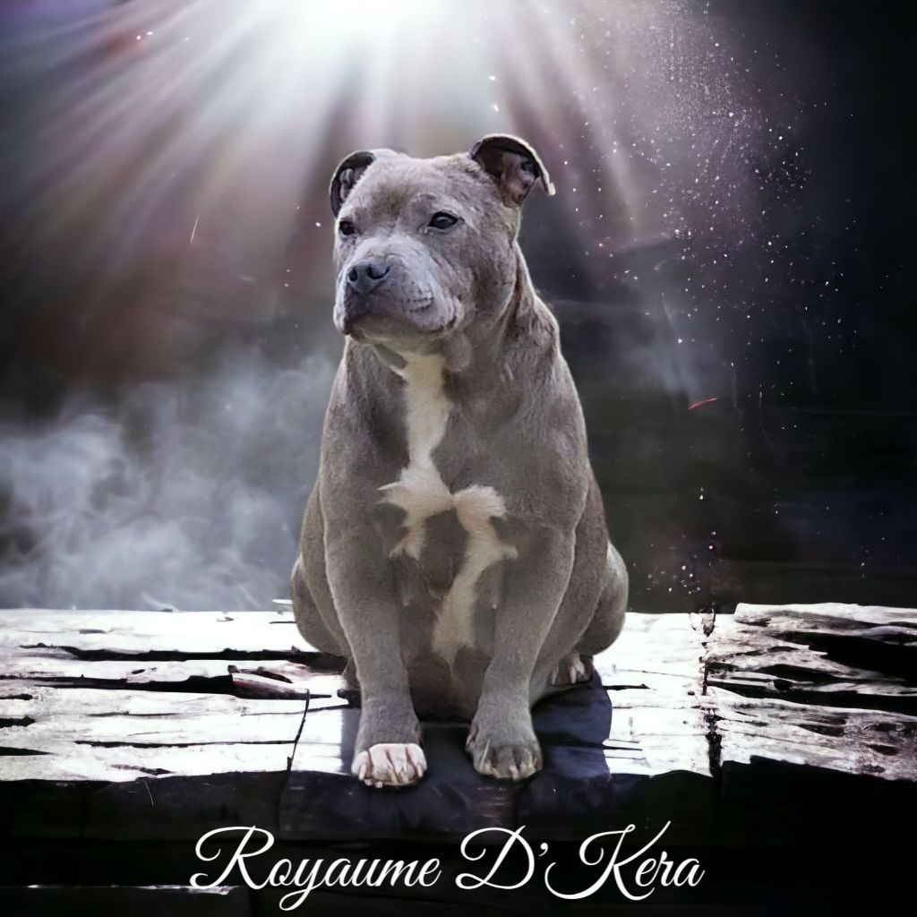 Publication : Du Royaume D'kera 