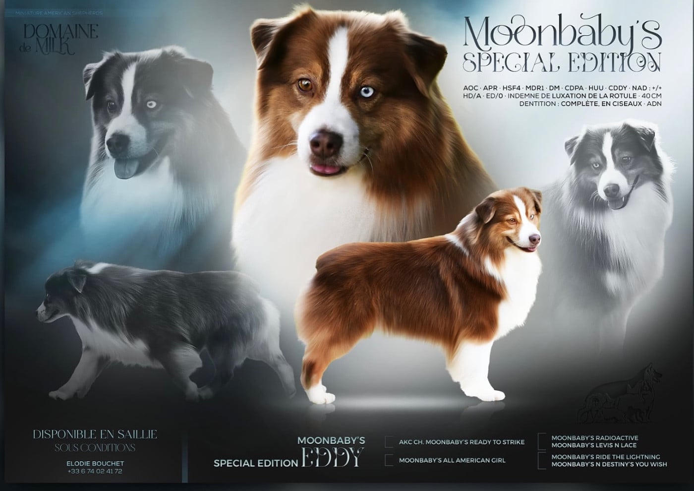 moonbaby's Special edition