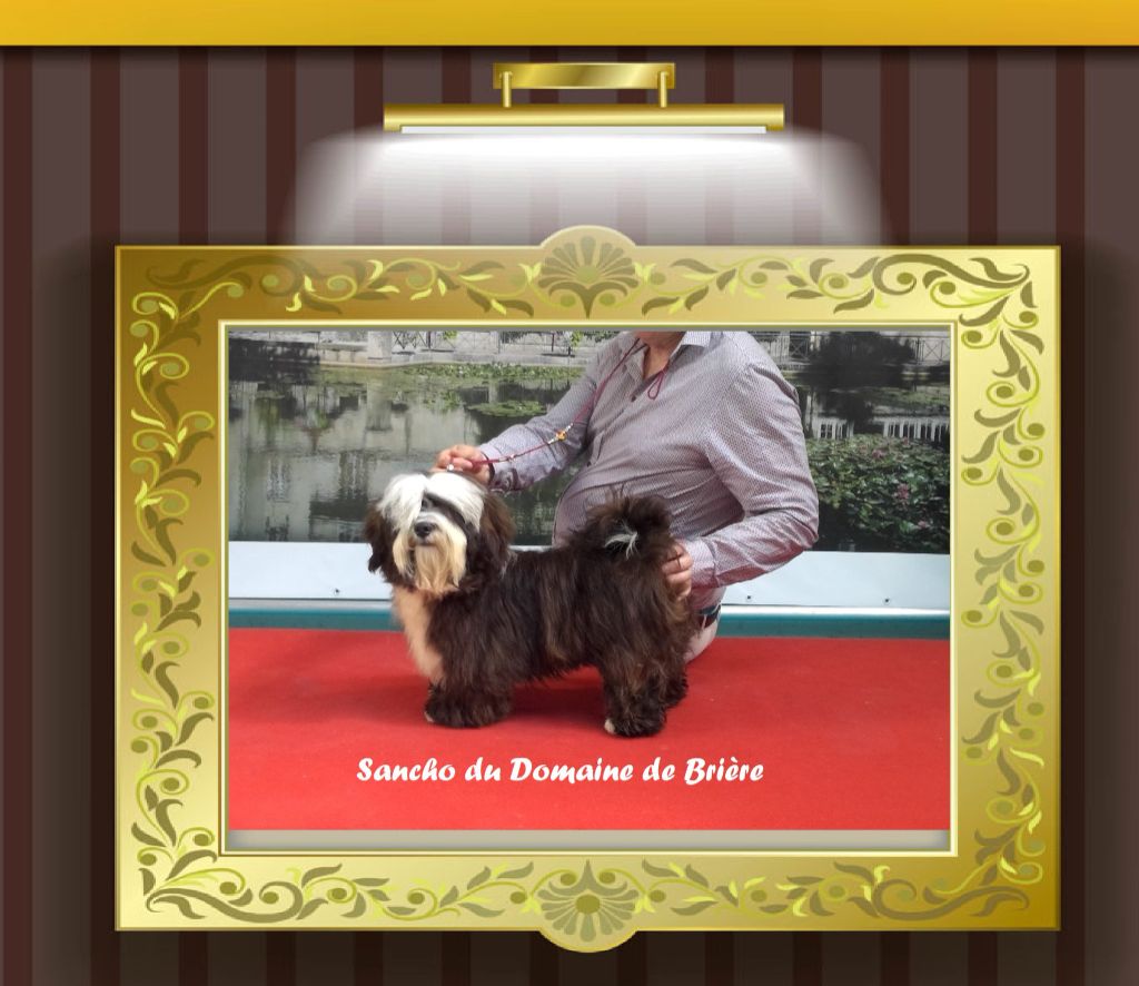 Publication : Du Domaine De Brière Auteur : L'élevage du Domaine de Brière