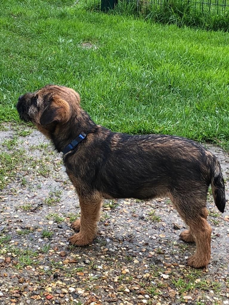 Publication : d'Hixa's Stories 