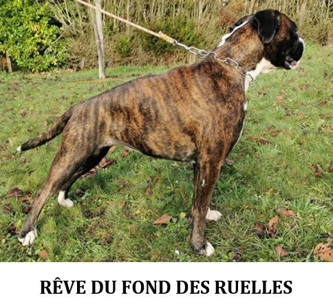 Publication : Du Fond Des Ruelles Auteur : S. Goffette