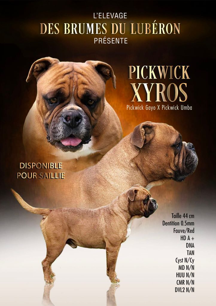 Pickwick Xyros
