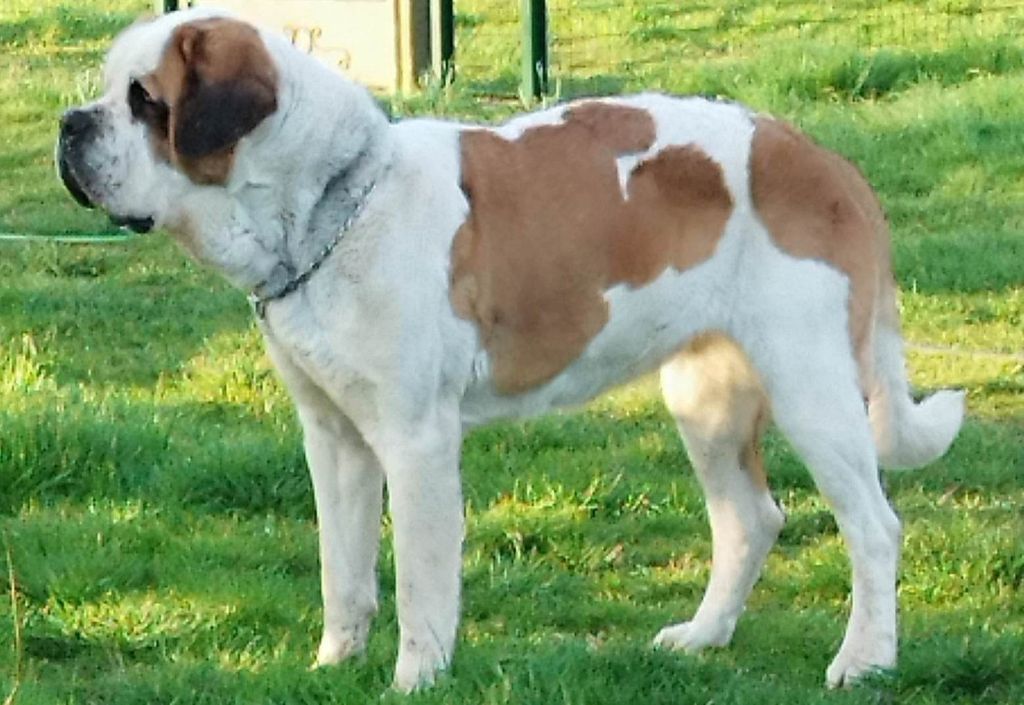 Publication : Du Val D'izvann 