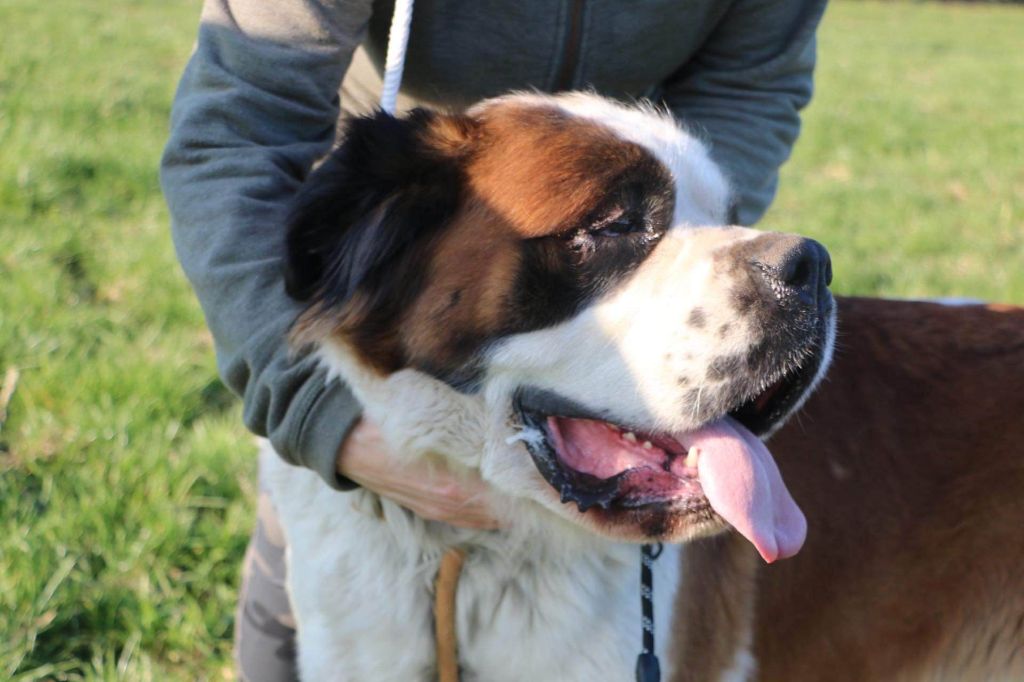 Publication : De La Ferme De L'encelade