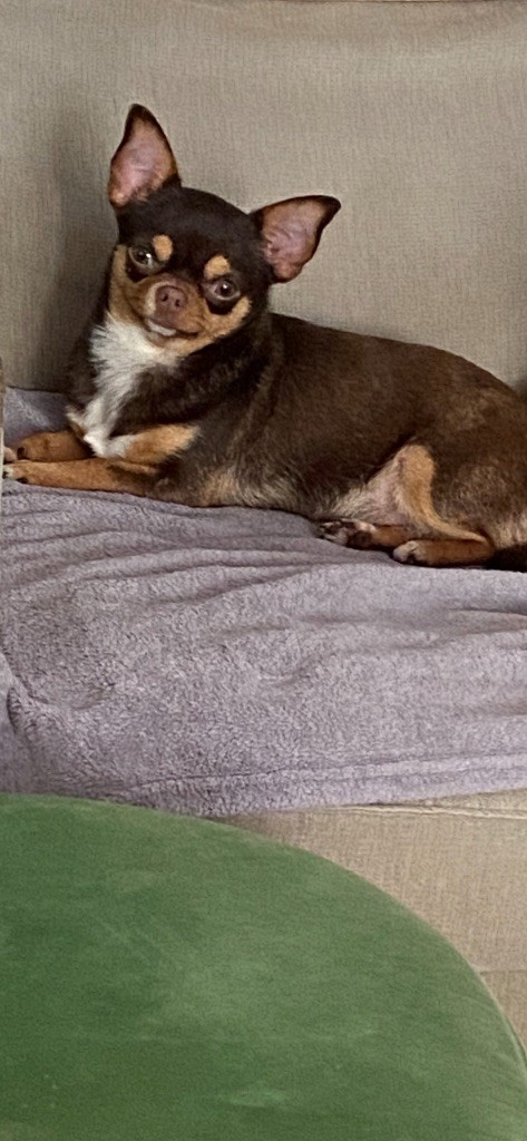 Publication : (Sans Affixe) 